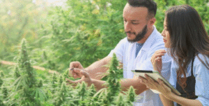 Medical Marijuana and Mental Health Issues: Supporting Veterans and First Responders